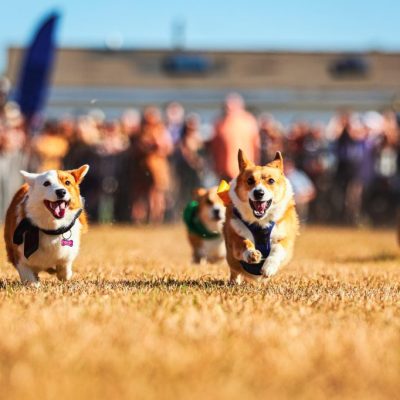 DJ_ColonialCup_23NOV2025-088